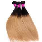 ombre_hair_1b27_ombre_blonde_straight